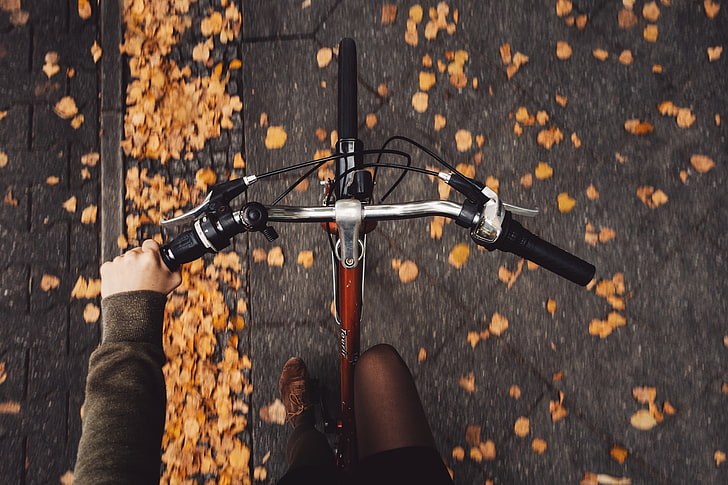 Bike Rentals
